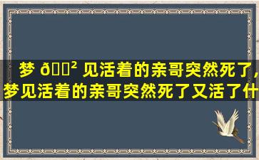 梦 🌲 见活着的亲哥突然死了,梦见活着的亲哥突然死了又活了什么意思